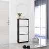 cumpără Raft pentru încălțăminte Mobildor-Lux Leo Slim 60x16x125H cm Anthracite/White în Chișinău 