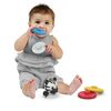 cumpără Iinel dentiție Baby Einstein 16709 Jucarie zornaitoare si dentitie Zen în Chișinău 