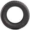 купить Шина Accelera 225/65 R17 107/103Q OMIKRON CT AT в Кишинёве 