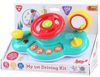 купить Музыкальная игрушка PlayGo 1655 Руль игровой в Кишинёве 