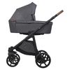 купить Детская коляска Riko Carucior 2in1 Basic Idol 04 Anthracite в Кишинёве 