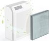 купить Фильтр для очистителя воздуха EvoAir HOMI P300, 3in1, Filtru True HEPA, Filtru Carbon Activ в Кишинёве 
