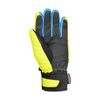 cumpără Manusi schi barb. Reusch Torbenius R-TEX® XT, Ski Piste, 4501222 în Chișinău 