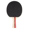 Набор для настольного тенниса (4 ракетки + 3 мяча) inSPORTline 21553 (7466) 