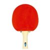 купить Теннисный инвентарь Tibhar SL-00014429 Paleta tenis de masa 1 Samsonov Fun 03010 в Кишинёве 