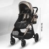cumpără Сărucior pentru copii Coccolle Hapi Soley H2003 Carucior 3/1, Simply Taupe în Chișinău 