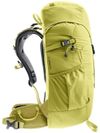 cumpără Rucsac turistic Deuter Climber 22 sprout-linden în Chișinău 