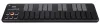 купить Аксессуар для музыкальных инструментов Korg Nanokey-2 BK keyboard controller в Кишинёве 