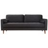 cumpără Canapea Trendy Roma Negru, 90x70x215cm (3 locuri) în Chișinău 