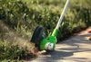 купить Триммер для газона Greenworks G24LT30MK2 в Кишинёве 
