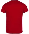 cumpără Îmbrăcăminte sport Joma S/S T-Shirt Record II (XL) 102227.600 în Chișinău 