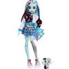 купить Кукла Mattel HHK53 Monster High Frankie Stein și Watzie, cu accesorii в Кишинёве 