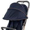 купить Детская коляска Peg Perego IP22000000RO51 Selfie Blue Shine в Кишинёве 