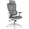 купить Офисное кресло Lumi LV-CH10-26, Grey в Кишинёве 