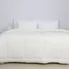 cumpără Textile de casă Relaxe Home 024548 Plapuma TEP TEDDY 200x210cm (350g/m²) Milky în Chișinău 