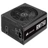 купить Блок питания для ПК Corsair RM Series™ RM750 в Кишинёве 