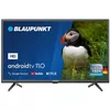 купить Телевизор Blaupunkt 32HBC5000 в Кишинёве 