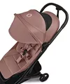 cumpără Сărucior pentru copii Bugaboo BG100338049 Butterfly 2 Complete Black/Pink în Chișinău 