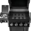 cumpără Grătar Napoleon Gratar pe gaz Freestyle 425 negru cu aragaz lateral (F425DSBPK-1-CZ) în Chișinău 