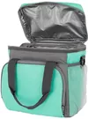 купить Сумка холодильник Noveen LBB520 Thermal Bag в Кишинёве 
