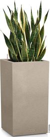 купить Цветочный горшок Lechuza Canto Stone 30 High, Sandy Beige в Кишинёве 