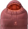 купить Спальный мешок Deuter Astro Pro 800 EL left redwood-paprika в Кишинёве 