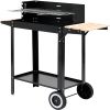 cumpără Grill-barbeque 48.5x26 cm în Chișinău 