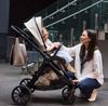 cumpără Сărucior pentru copii KinderKraft 2в1 Vesto 2 KSVEST02GRY2000 Gray în Chișinău 
