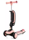 купить Самокат KinderKraft HALLEY KRHALL00PNK0000 ROSE PINK в Кишинёве 