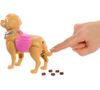 купить Кукла Barbie JJB46 Plimbarea cu cățelușul в Кишинёве 