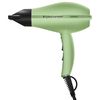 купить Фен Gamma Plus X-Hybrid Compac Matcha Verde в Кишинёве 