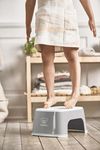 купить Подставка-ступенька BabyBjorn 061225A Treapta inaltator pentru baie Step Stool Grey/White в Кишинёве 