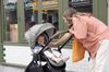 купить Детская коляска Joie S1803IAPEB000 Versatrax Pebble в Кишинёве 