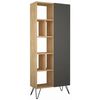 cumpără Etajeră Trendy Biblioteca Jedda, Stejar, Antracit, 79x190x32cm (GTR000405) în Chișinău 