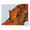 купить Картина по номерам Art Gallery GA79017 Mozaic cu diamante 40x50cm Leopard в Кишинёве 