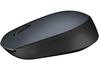 купить Logitech M170 Grey Wireless Mouse, USB, 910-004642 (mouse fara fir/беспроводная мышь) в Кишинёве 