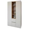 купить Шкаф Smartex (15831) N14 120cm Kashemir+St.Inchis в Кишинёве 