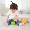 купить Игрушка Fisher Price FNV36 Piramida 2in1 Monstri в Кишинёве 