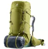 cumpără Rucsac turistic Deuter Aircontact Core 60+10 cactus-ivy în Chișinău 