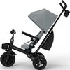 купить Велосипед-коляска KinderKraft KRAVEO02GRY0000 Aveo 2 Plus Grey в Кишинёве 