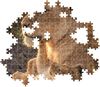купить Пазл Clementoni Puzzle 500 Feline Love 2026 (35620) в Кишинёве 