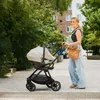 cumpără Сărucior pentru copii Nuna ST16600HAZGL compact TRIV Next Hazelwood în Chișinău 