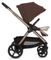 купить Детская коляска Lionelo Carucior 2in1 Carmine Brown Chocolate в Кишинёве 