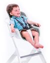 купить Стульчик для кормления 4Moms 817980016415 High Chair White/grey в Кишинёве 