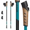купить Треккинговые палки Spokey Peak (944815) в Кишинёве 