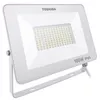 cumpără Reflector Toshiba 00173316 Projector LED IP65 100W 6500K (Alb) în Chișinău 