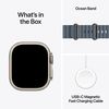 купить Смарт часы Apple Watch Ultra 3 GPS + Cellular 49mm Natural Titanium Case with Anchor Blue Ocean Band MEWH4QI/A в Кишинёве 