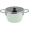 купить Кастрюля Delimano Nordic Mint Pot+Lid 24cm (110085707) в Кишинёве 