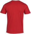 купить Одежда для спорта Joma T-Shirt Desert (7XS) 101739.600 в Кишинёве 