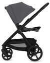 купить Детская коляска Lionelo Carucior 2in1 Carmine Grey Stone в Кишинёве 